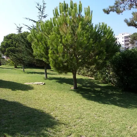 Aldeia Da Falesia