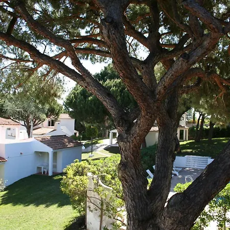 阿尔德亚达法尔西亚酒店 公寓 阿尔布费拉