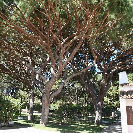 Lägenhet Aldeia Da Falesia Albufeira