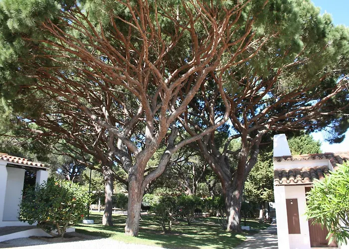 Appartement Aldeia Da Falesia Albufeira