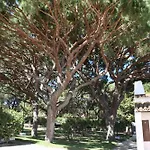 דירה Aldeia Da Falesia אלבופיירה